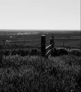 Photograph by Thor Stiefel